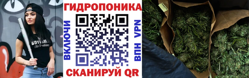 Каннабис SATIVA & INDICA  Куровское 